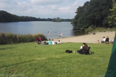 MPS_Hamburg_2016_21