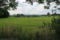 1709_MP_Maxelrain_10