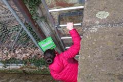 IMG-20190308-WA0010_675x1200