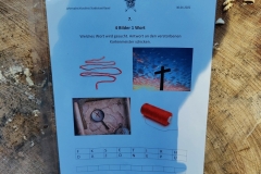 IMG_20220130_142419_900x1200