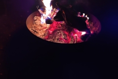 IMG_20220130_201041_900x1200